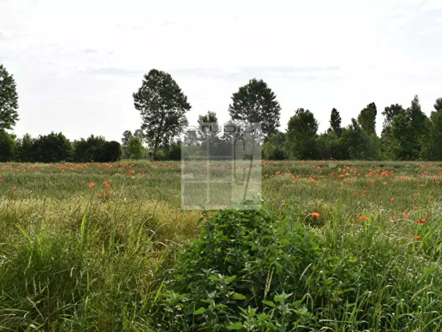 Immagine 8 di Terreno in vendita  in via Roma a Piombino Dese