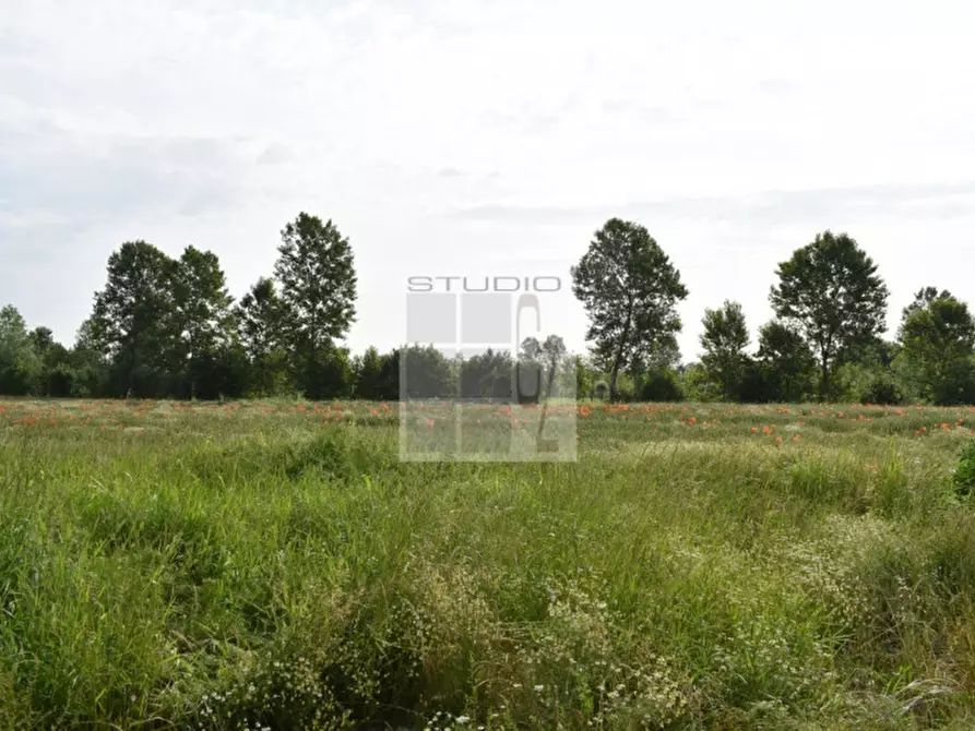 Immagine 9 di Terreno in vendita  in via Roma a Piombino Dese