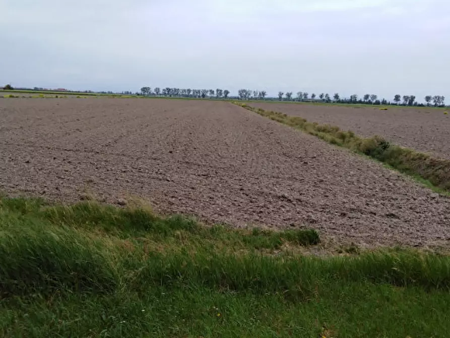 Immagine 2 di Terreno in vendita  in Via Braggio a Borgo Veneto