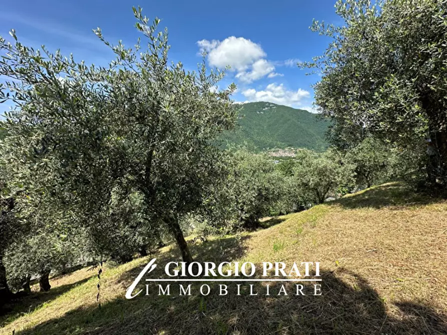 Immagine 1 di Terreno in vendita  a Pove Del Grappa