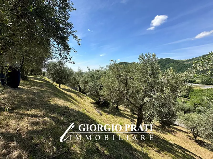 Immagine 2 di Terreno in vendita  a Pove Del Grappa