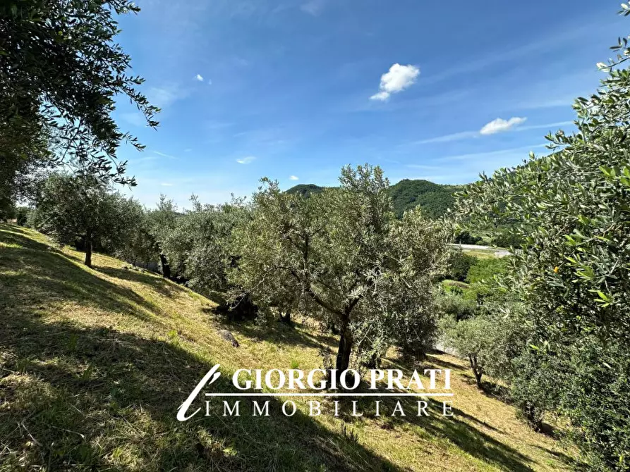 Immagine 3 di Terreno in vendita  a Pove Del Grappa