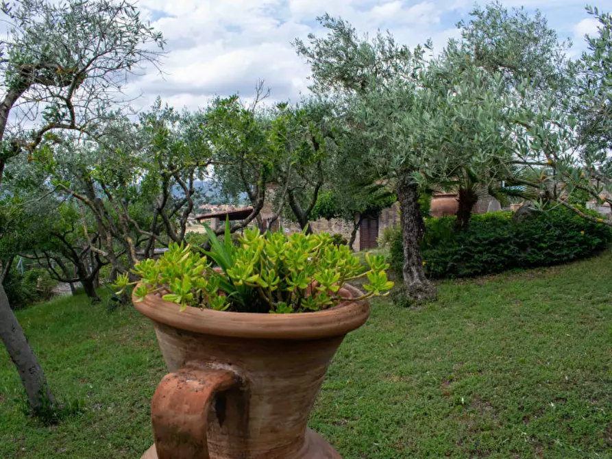 Immagine 45 di Rustico / casale in vendita  in via dell'acquedotto a Torgiano