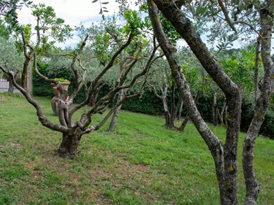 Immagine 45 di Rustico / casale in vendita  in via dell'acquedotto a Torgiano