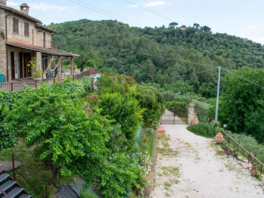 Immagine 53 di Rustico / casale in vendita  in via dell'acquedotto a Torgiano