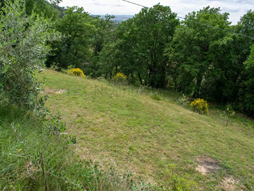 Immagine 78 di Rustico / casale in vendita  in via dell'acquedotto a Torgiano