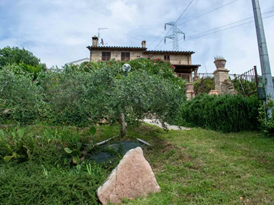 Immagine 80 di Rustico / casale in vendita  in via dell'acquedotto a Torgiano
