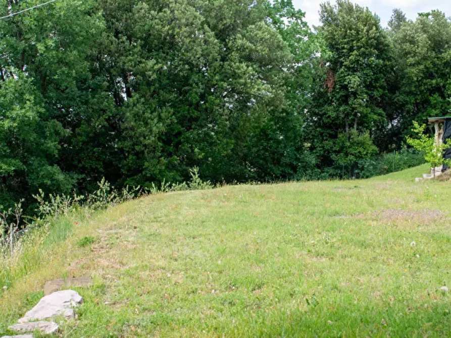 Immagine 82 di Rustico / casale in vendita  in via dell'acquedotto a Torgiano