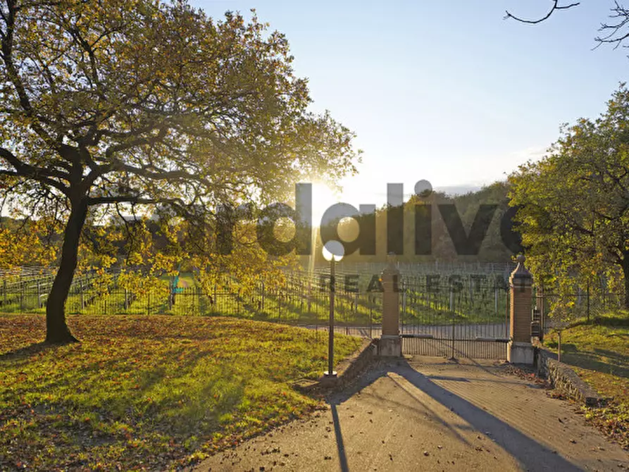 Immagine 15 di Appartamento in vendita  in Via rupestre a Puegnago Sul Garda