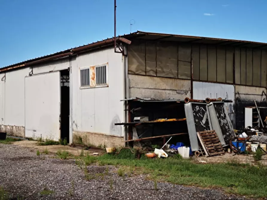 Immagine 2 di Magazzino in affitto  in via maresca a Roma