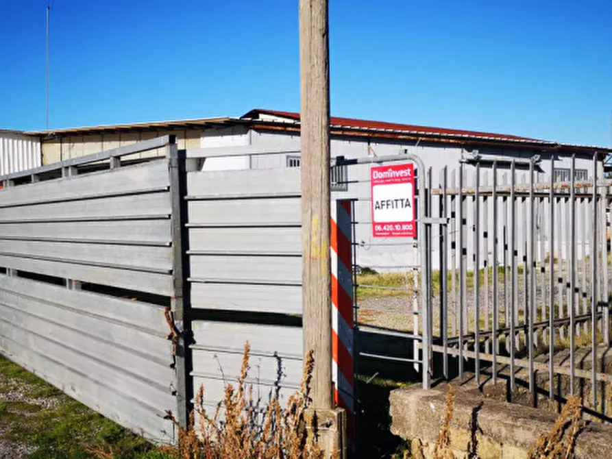 Immagine 6 di Magazzino in affitto  in via maresca a Roma