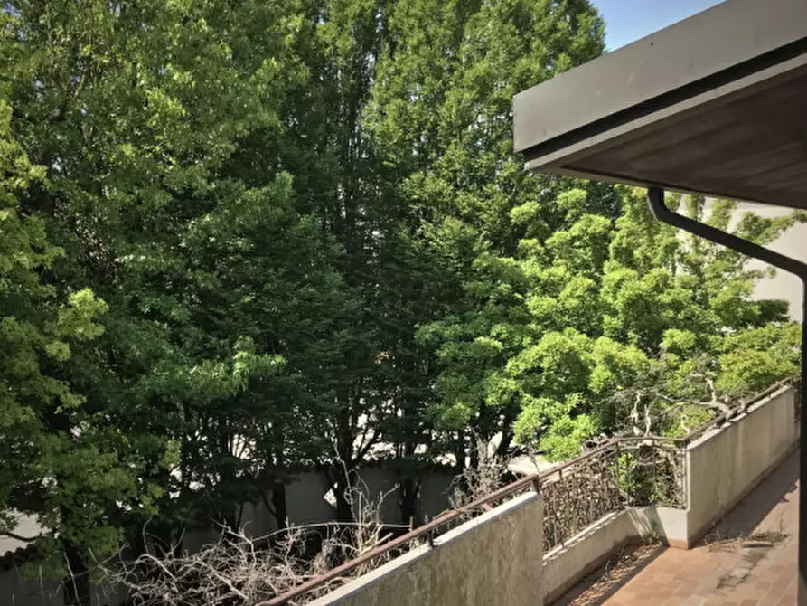 Immagine 18 di Villa in vendita  in via G. Piva a Rovigo