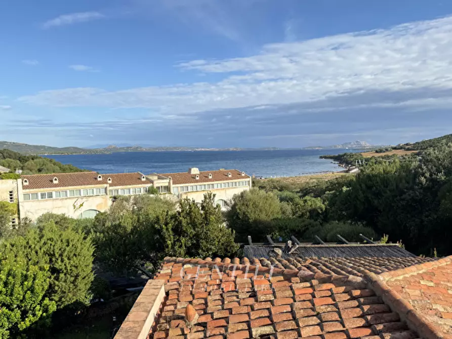 Immagine 1 di Villetta a schiera in vendita  in Cala dei Ginepri a Arzachena