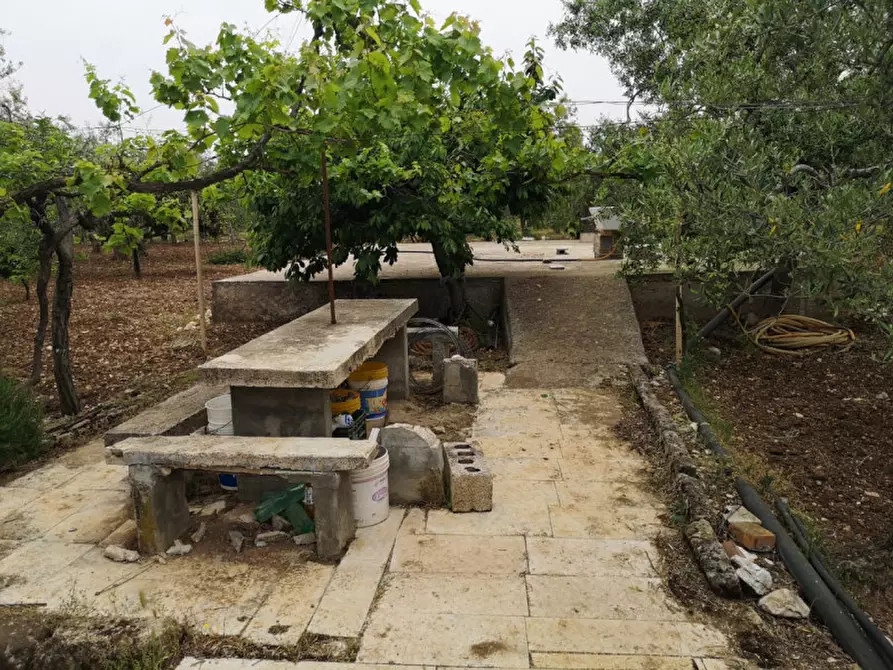 Immagine 4 di Terreno in vendita  in contrada procida a Modugno