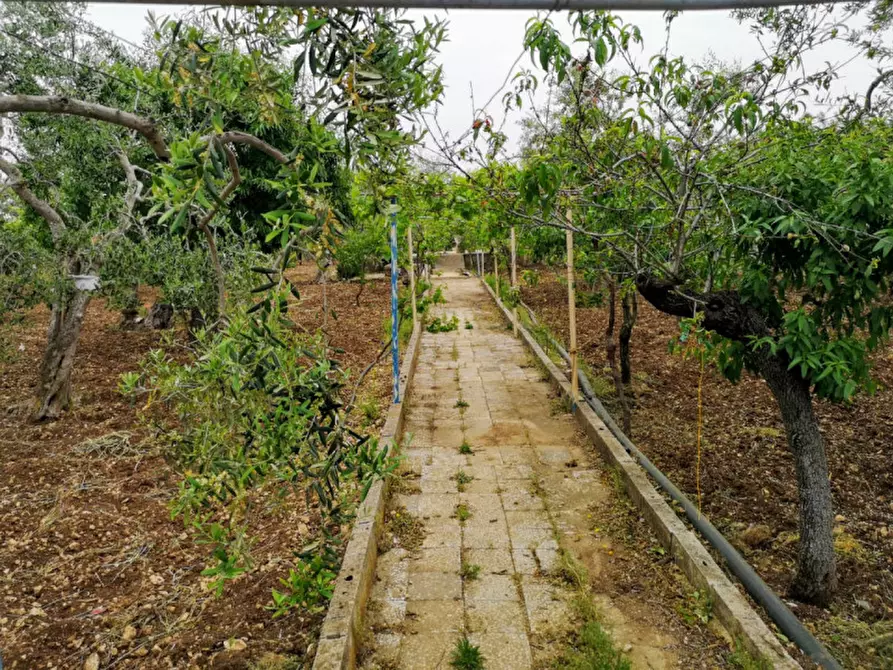 Immagine 5 di Terreno in vendita  in contrada procida a Modugno