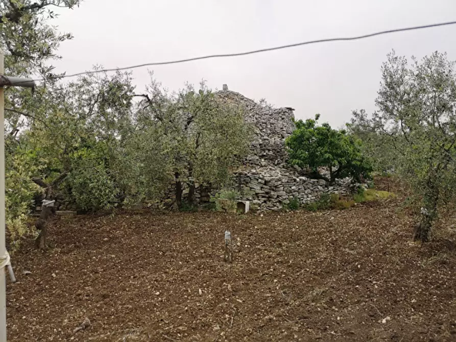 Immagine 7 di Terreno in vendita  in contrada procida a Modugno