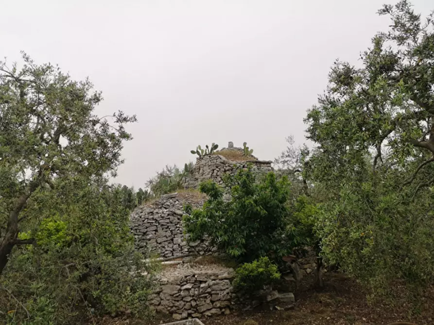 Immagine 8 di Terreno in vendita  in contrada procida a Modugno