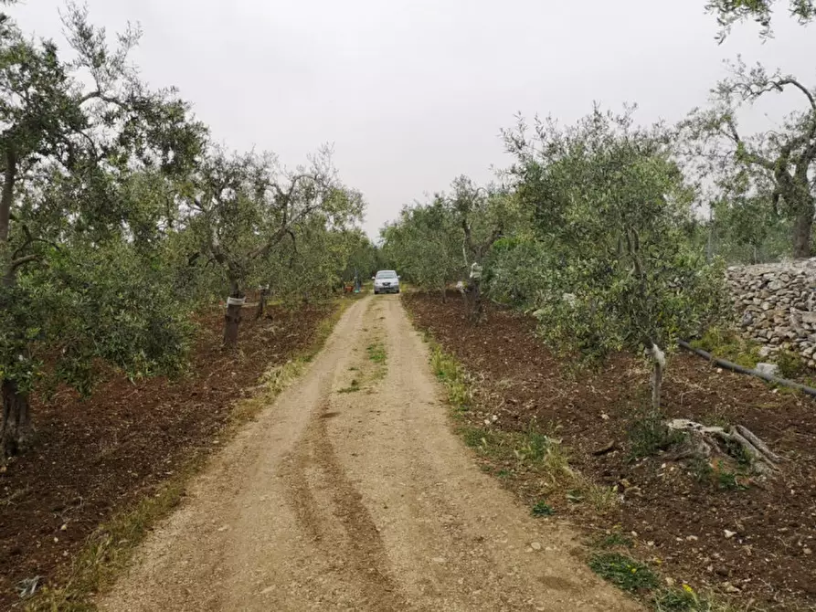 Immagine 9 di Terreno in vendita  in contrada procida a Modugno