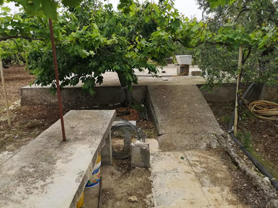 Immagine 10 di Terreno in vendita  in contrada procida a Modugno