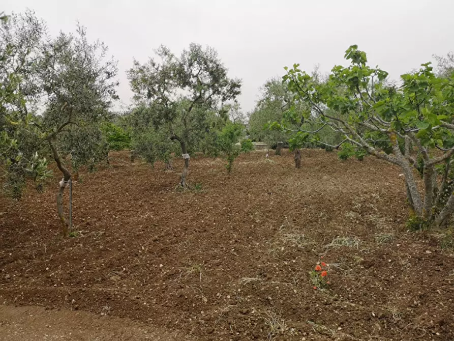 Immagine 12 di Terreno in vendita  in contrada procida a Modugno