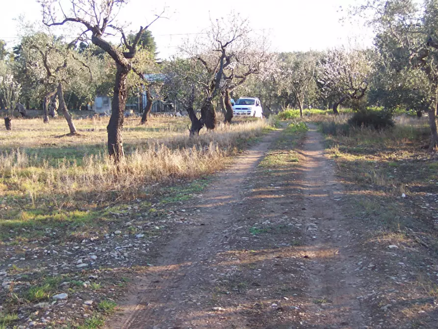 Immagine 2 di Terreno in vendita  in CONTRADA PROCIDA a Modugno
