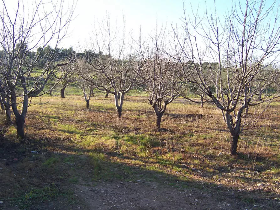 Immagine 17 di Terreno in vendita  in CONTRADA PROCIDA a Modugno