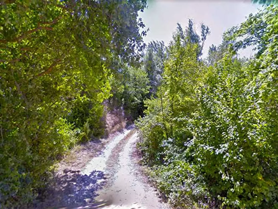 Immagine 2 di Terreno in vendita  in Smirra a Cagli