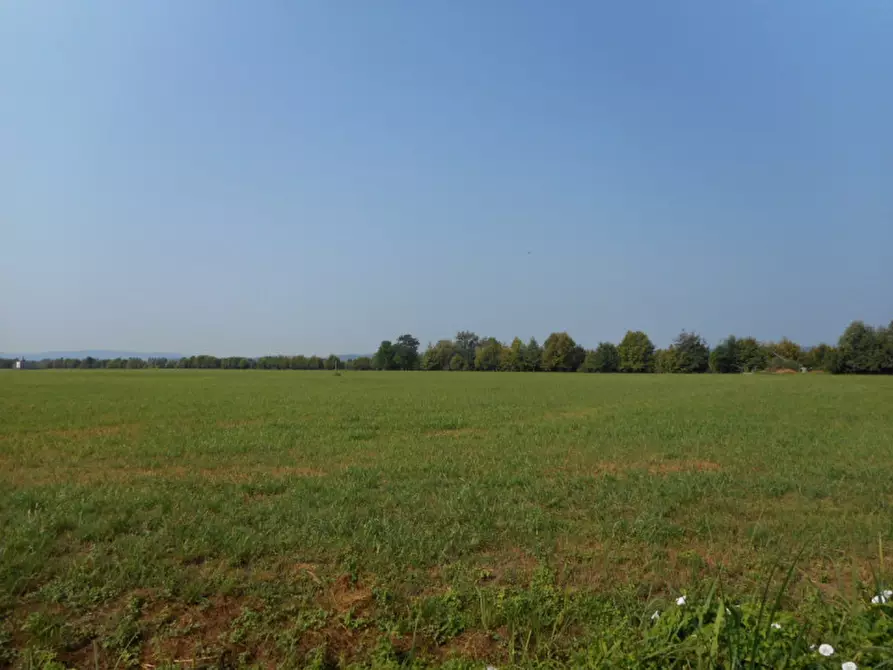 Immagine 2 di Terreno in vendita  in via gardellina a Caldogno