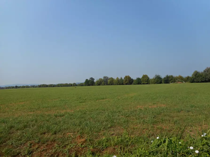 Immagine 3 di Terreno in vendita  in via gardellina a Caldogno