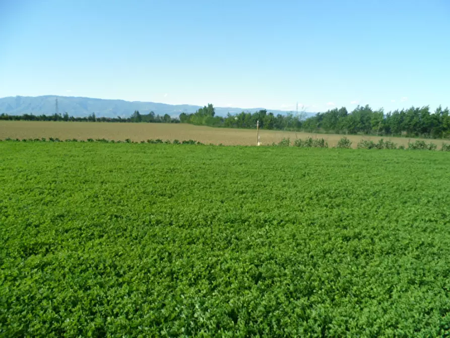 Immagine 4 di Terreno in vendita  in via gardellina a Caldogno