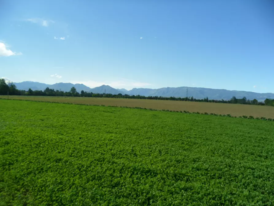 Immagine 5 di Terreno in vendita  in via gardellina a Caldogno
