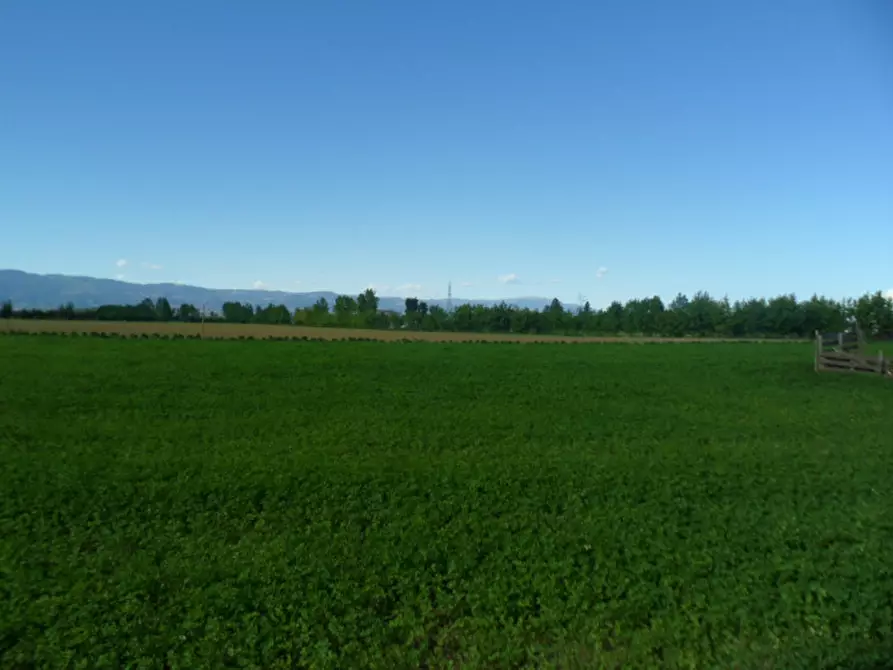 Immagine 8 di Terreno in vendita  in via gardellina a Caldogno