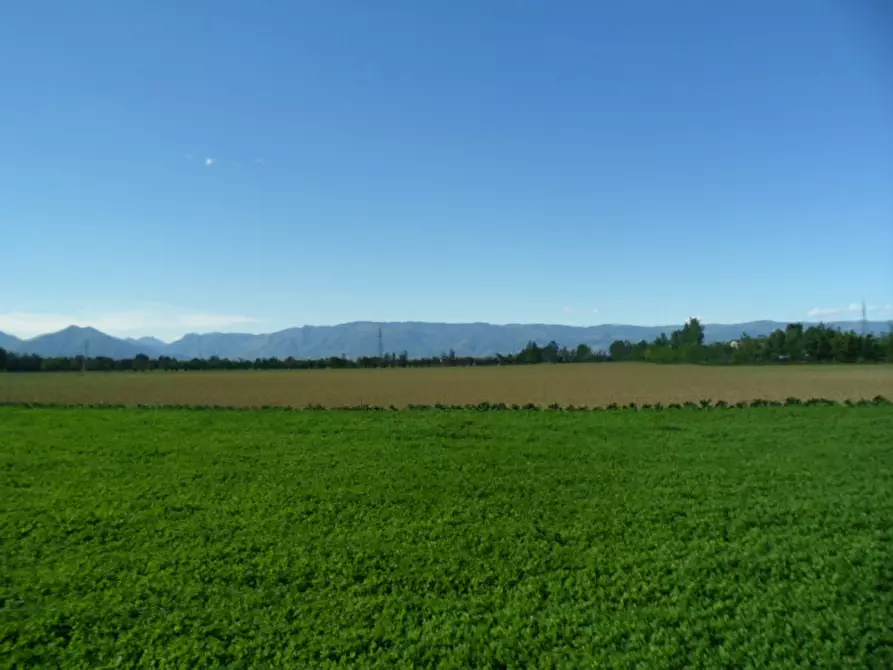 Immagine 9 di Terreno in vendita  in via gardellina a Caldogno