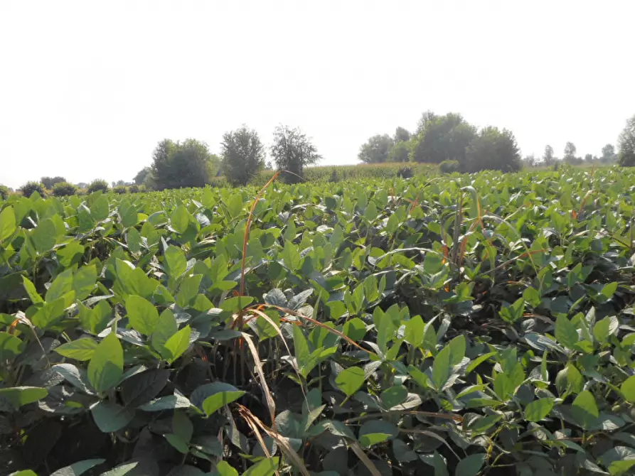 Immagine 14 di Terreno in vendita  in via gardellina a Caldogno