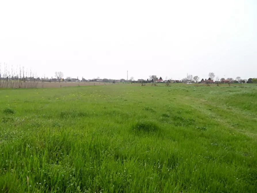 Immagine 3 di Terreno in vendita  a Conselve