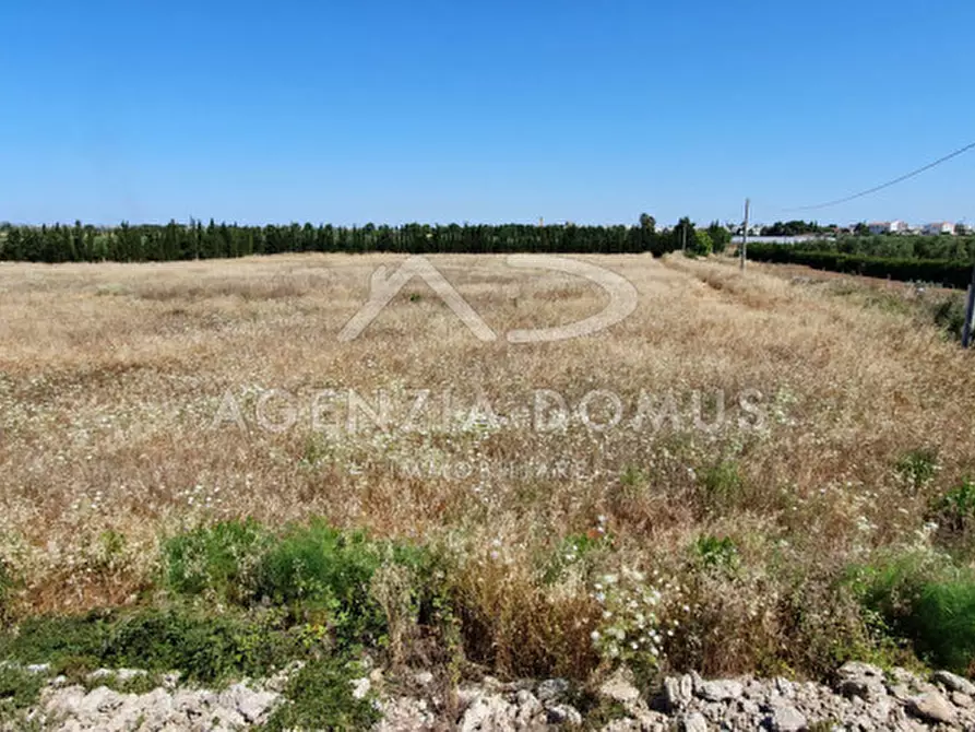 Immagine 2 di Rustico / casale in vendita  a Ugento