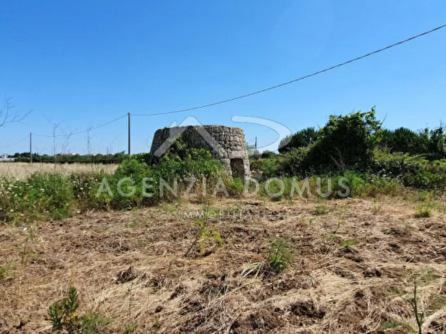 Immagine 3 di Rustico / casale in vendita  a Ugento