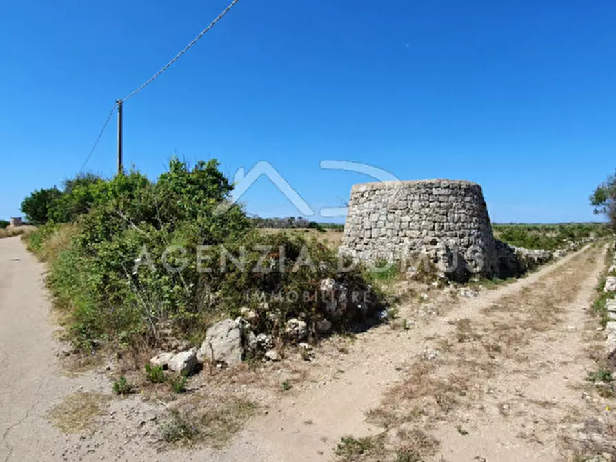 Immagine 5 di Rustico / casale in vendita  a Ugento