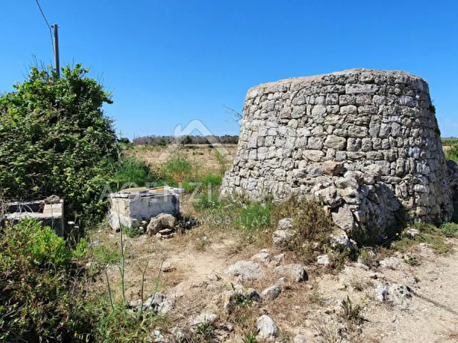Immagine 6 di Rustico / casale in vendita  a Ugento