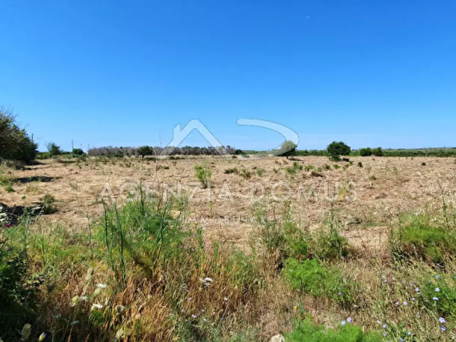 Immagine 7 di Rustico / casale in vendita  a Ugento