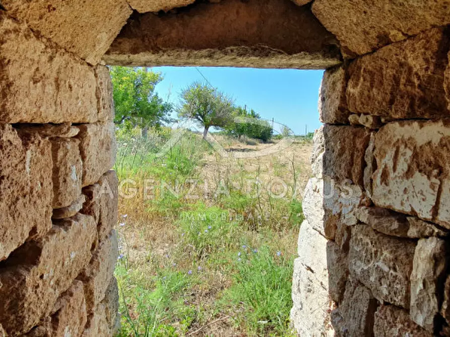 Immagine 10 di Rustico / casale in vendita  a Ugento