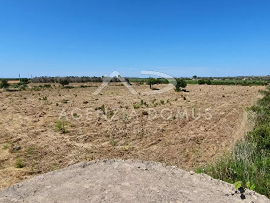 Immagine 11 di Rustico / casale in vendita  a Ugento