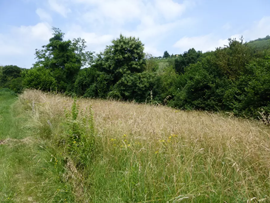 Immagine 19 di Rustico / casale in vendita  in Località Valle a Badia Calavena