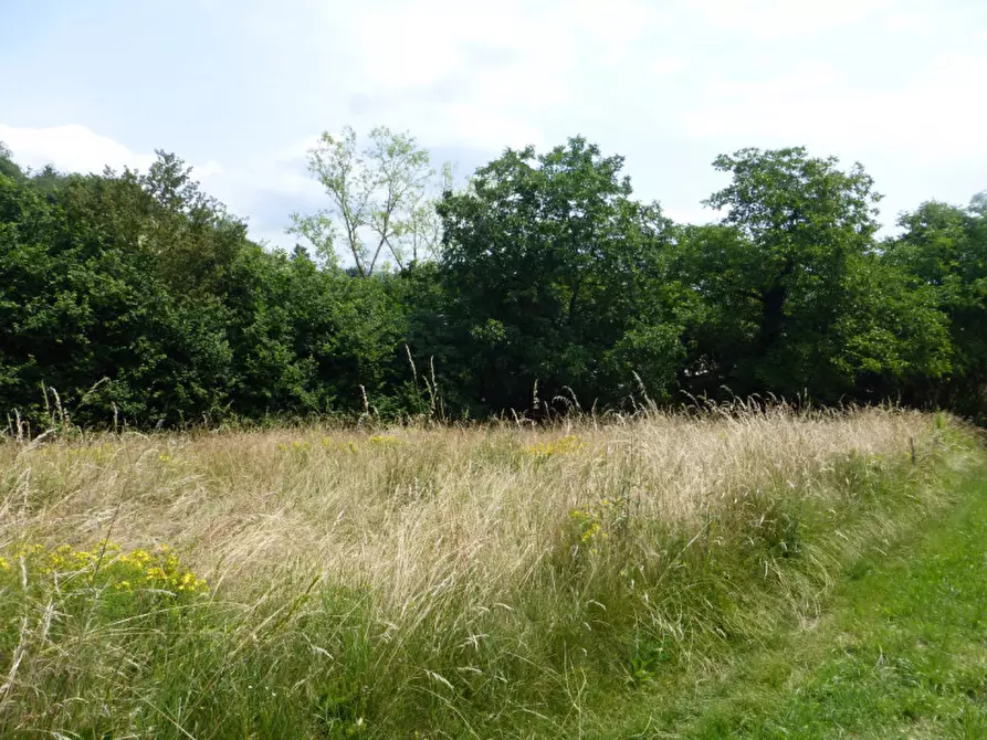 Immagine 20 di Rustico / casale in vendita  in Località Valle a Badia Calavena