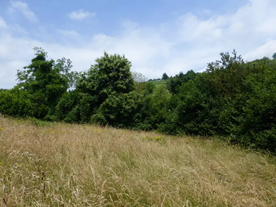 Immagine 21 di Rustico / casale in vendita  in Località Valle a Badia Calavena