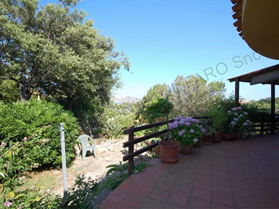 Immagine 4 di Villa in vendita  in Regione Gambino a La Maddalena