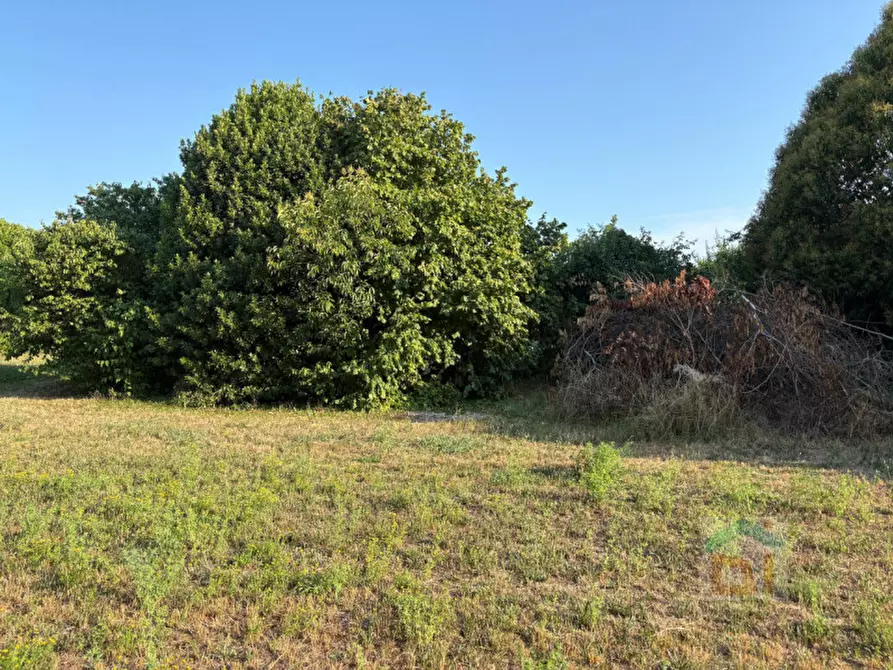 Immagine 48 di Rustico / casale in vendita  in Via Santa Maria 4 a Bicinicco