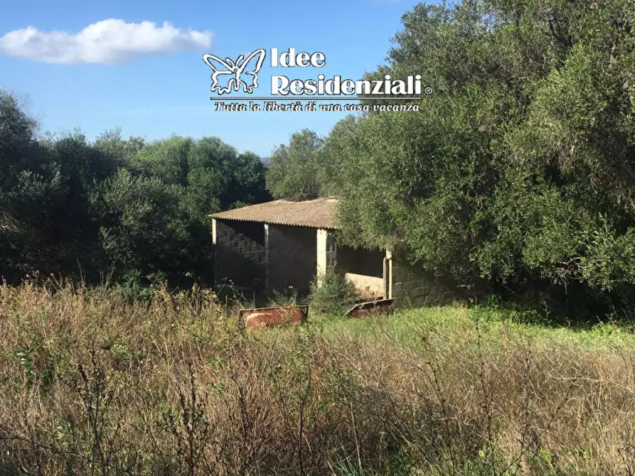 Immagine 5 di Terreno in vendita  a Palau