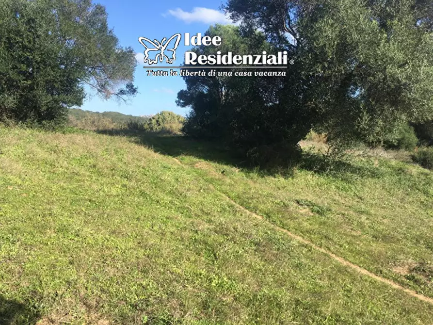 Immagine 11 di Terreno in vendita  a Palau