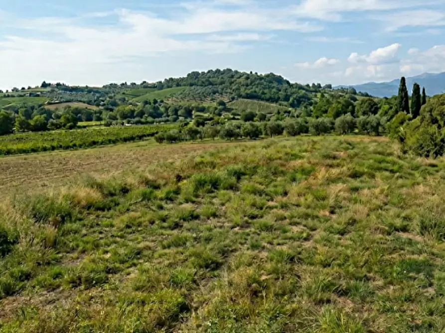 Immagine 1 di Terreno in vendita  a Zimella